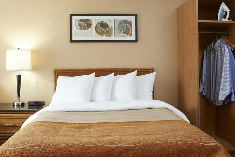Comfort Inn Pickering Dış mekan fotoğraf